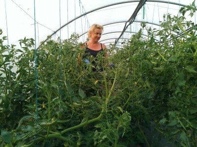 OPG Židanić Mihaljević