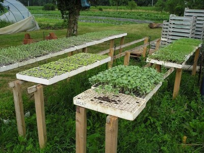 OPG Židanić Mihaljević