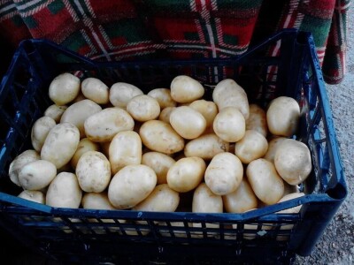 OPG Židanić Mihaljević