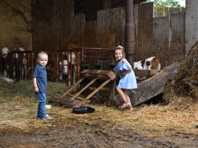 OPG Živković Mario