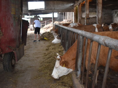 OPG Živković Mario