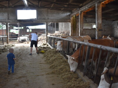 OPG Živković Mario