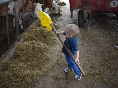 OPG Živković Mario