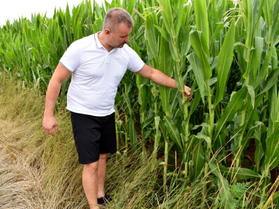 OPG Živković Mario