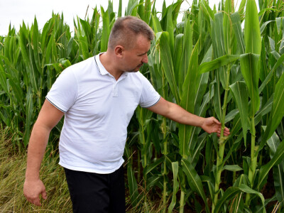 OPG Živković Mario