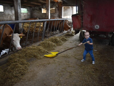 OPG Živković Mario