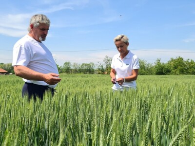 OPG Zlatka Tučkorića OPG Zlatka Tučkorića