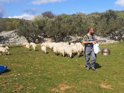 OPG Zoran Mrakovčić