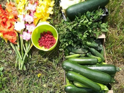 OPG Zornada slike za tekst