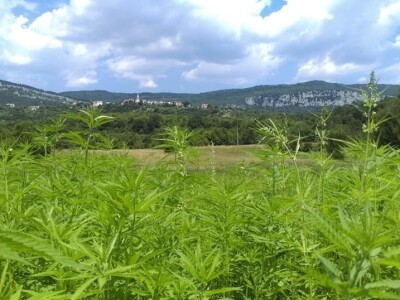 OPG Zornada slike za tekst