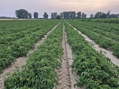 OPG Zvonar Dragan iz Vaške