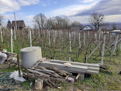 OPG Zvonko Belošević OPG Zvonko Belošević