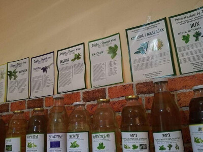 opis sirupa opis sirupa