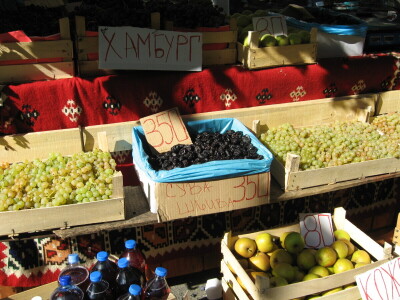 Oplenačka berba oborila rekord - "potukla" sve manifestacije u Srbiji!