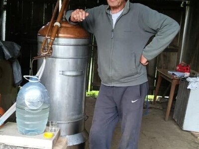 Opojni miris lavande iz Daruvara širi se Banjalukom