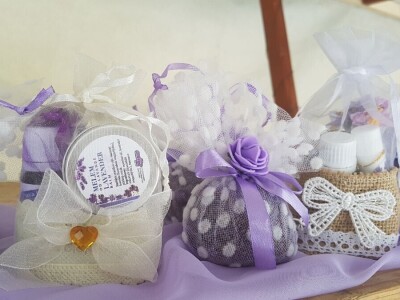 Opojni miris lavande iz Daruvara širi se Banjalukom