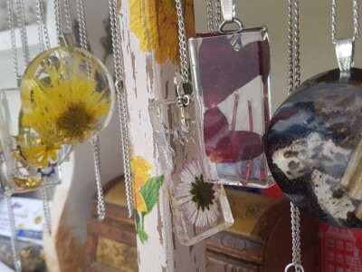 Opojni miris lavande iz Daruvara širi se Banjalukom