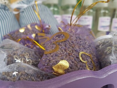 Opojni miris lavande iz Daruvara širi se Banjalukom