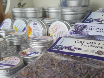 Opojni miris lavande iz Daruvara širi se Banjalukom