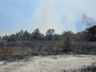 Opožareni vinogradi i maslinik Ante Sladića