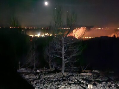 Opožareni vinogradi i maslinik Ante Sladića