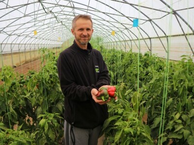 Opšta poljoprivredna zadruga "Agrofood" Bratunac