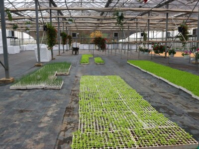 Opšta poljoprivredna zadruga "Agrofood" Bratunac