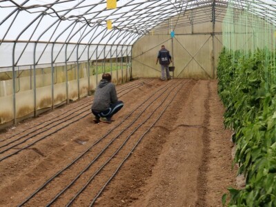 Opšta poljoprivredna zadruga "Agrofood" Bratunac