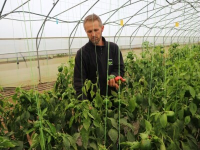 Opšta poljoprivredna zadruga "Agrofood" Bratunac