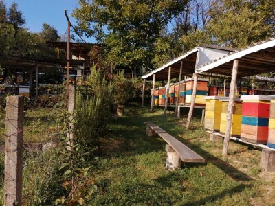 Opstanak pčelarenja u eri ekstremnih klimatskih pojava Opstanak pčelarenja u eri ekstremnih klimatskih pojava