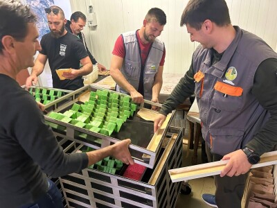 Opuzenska ispostava HAPIH-ova Centra za zaštitu bilja Opuzenska ispostava HAPIH-ova Centra za zaštitu bilja