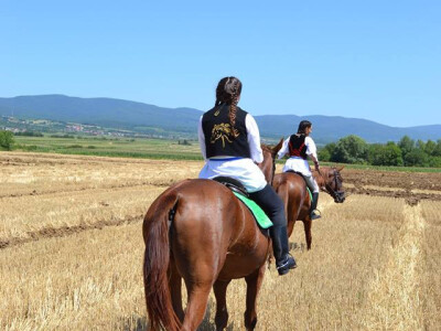 Natjecanje u oranju u Biškupcima
