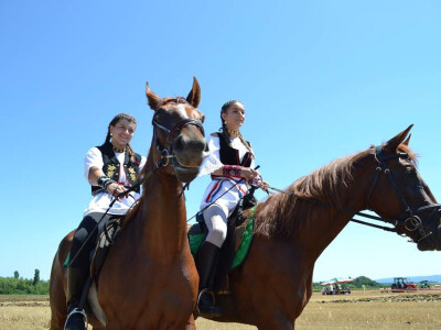 Natjecanje u oranju u Biškupcima