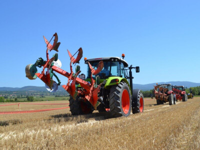 Natjecanje u oranju u Biškupcima