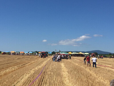 Natjecanje u oranju u Biškupcima