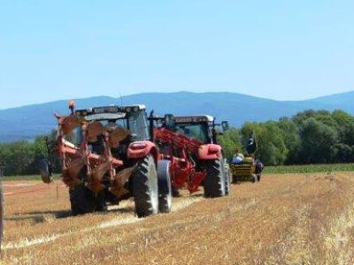 Natjecanje u oranju u Biškupcima