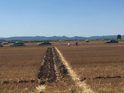 Natjecanje u oranju u Biškupcima