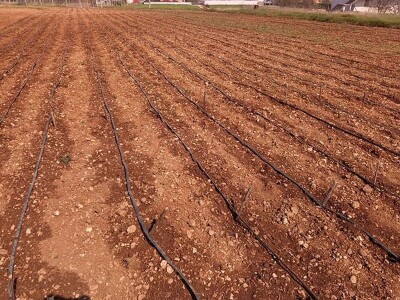 Poljoprivredno gazdinstvo Prguda Poljoprivredno gazdinstvo Prguda