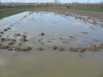 Oranice pod vodom u Natalincima