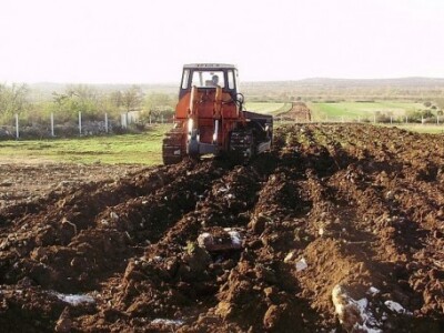 Oranice u dalmatinskom kršu