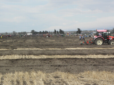 Prvi dan 59. svjetskog natjecanjanja u oranju