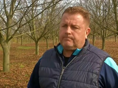 Orašasti plodovi - Agro-klaster