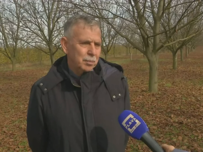 Orašasti plodovi - Agro-klaster