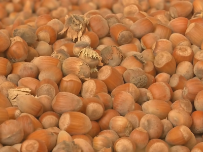 Orašasti plodovi - Agro-klaster