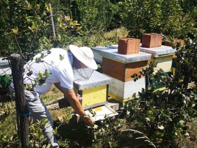 Dani organske  proizvodnje