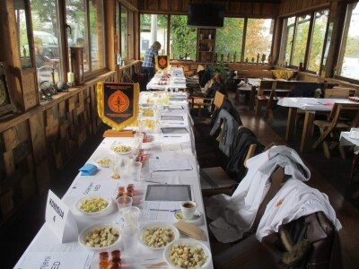 Organoleptička analiza meda Organoleptička analiza meda