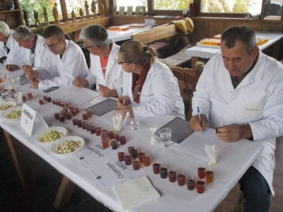 Organoleptička analiza meda