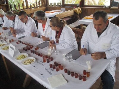 Organoleptička analiza meda Organoleptička analiza meda