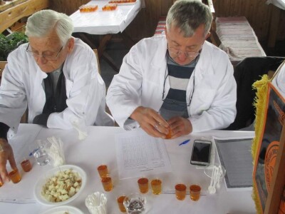 Organoleptička analiza meda Organoleptička analiza meda