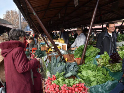 Organska pijaca u Novom Sadu